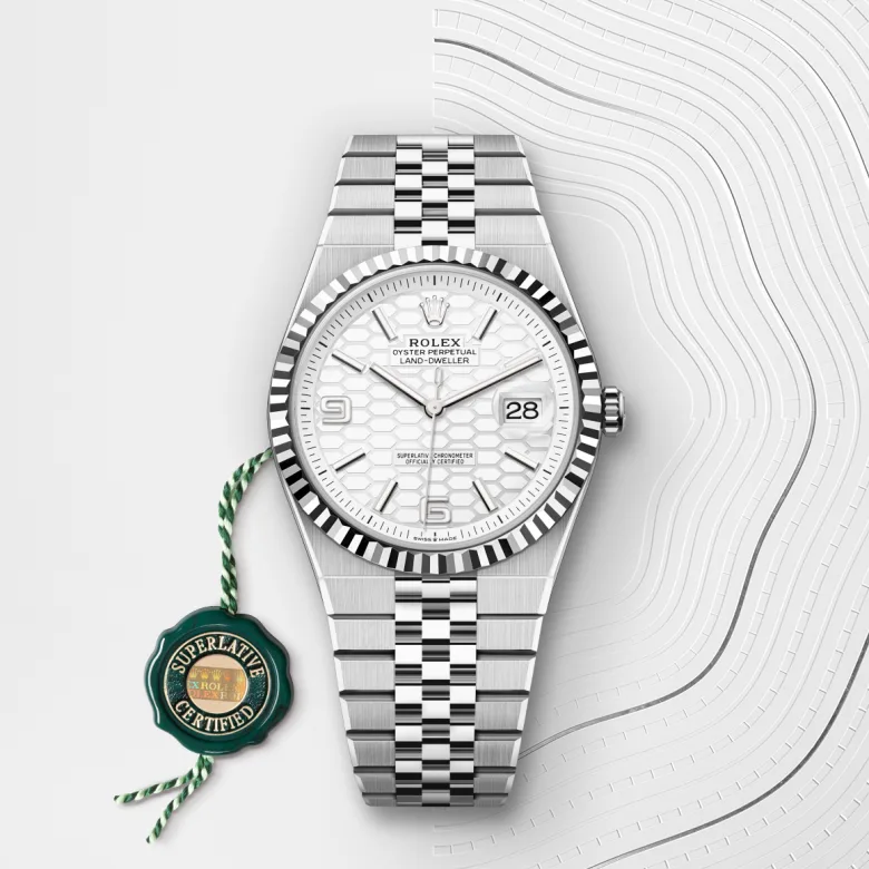 rolex Land-Dweller in White Rolesor - combination of Oystersteel and white gold, M127334-0001 - Underwood Jewelers