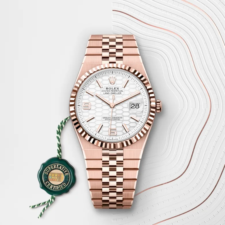rolex Land-Dweller in 18 kt Everose gold, M127335-0001 - Underwood Jewelers