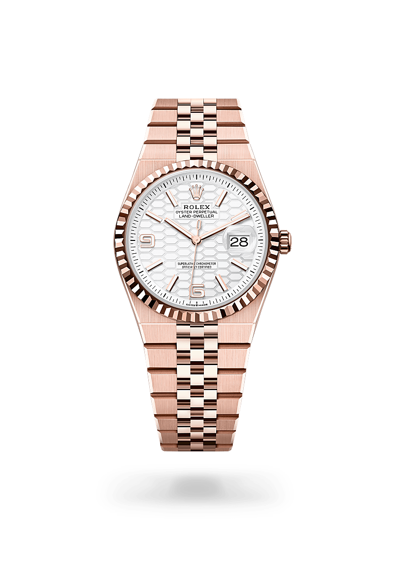 rolex Land-Dweller in 18 kt Everose gold, M127235-0001 - underwood jewelers