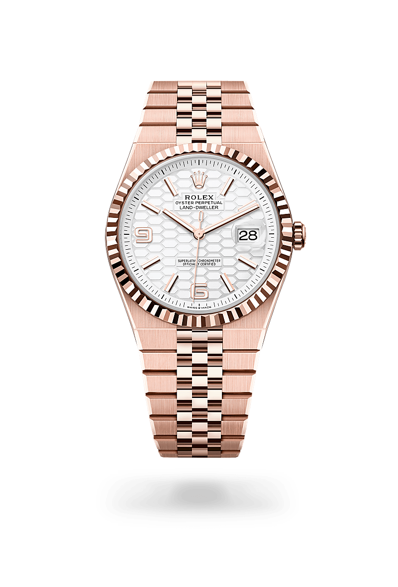 rolex Land-Dweller in 18 kt Everose gold, M127335-0001 - underwood jewelers