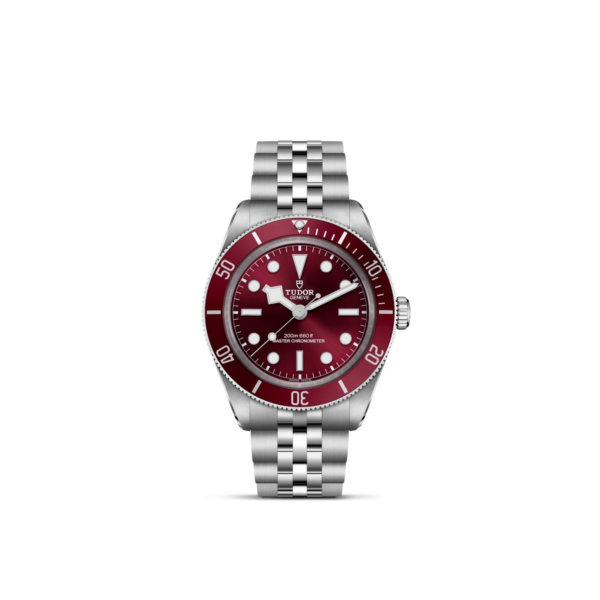 TUDOR Black Bay 58 39mm stainless steel case with polished and satin finishes - M7939A1A0RU-0001 at Underwood Jewelers