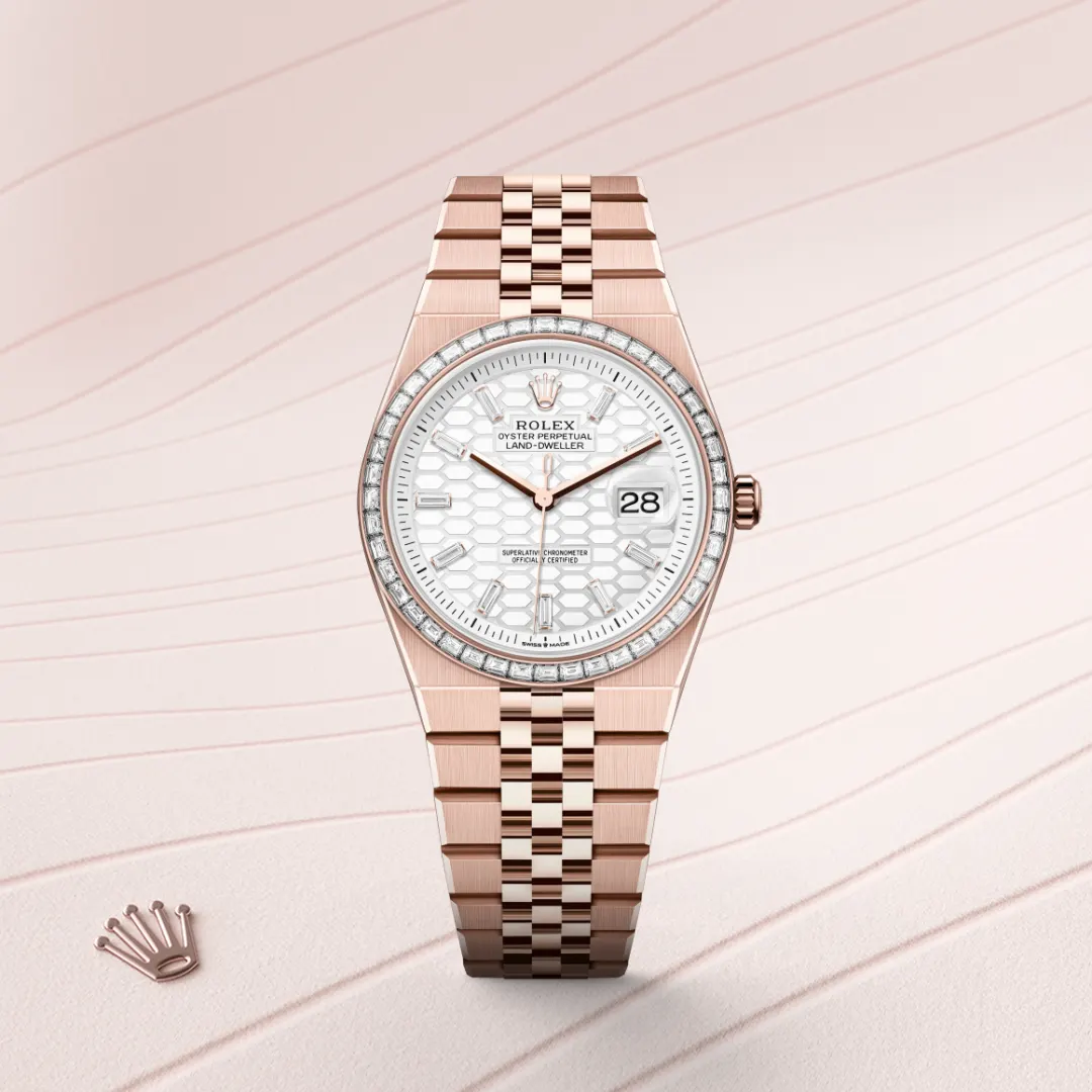 rolex Land-Dweller in 18 kt Everose gold, M127285TBR-0002 - underwood jewelers