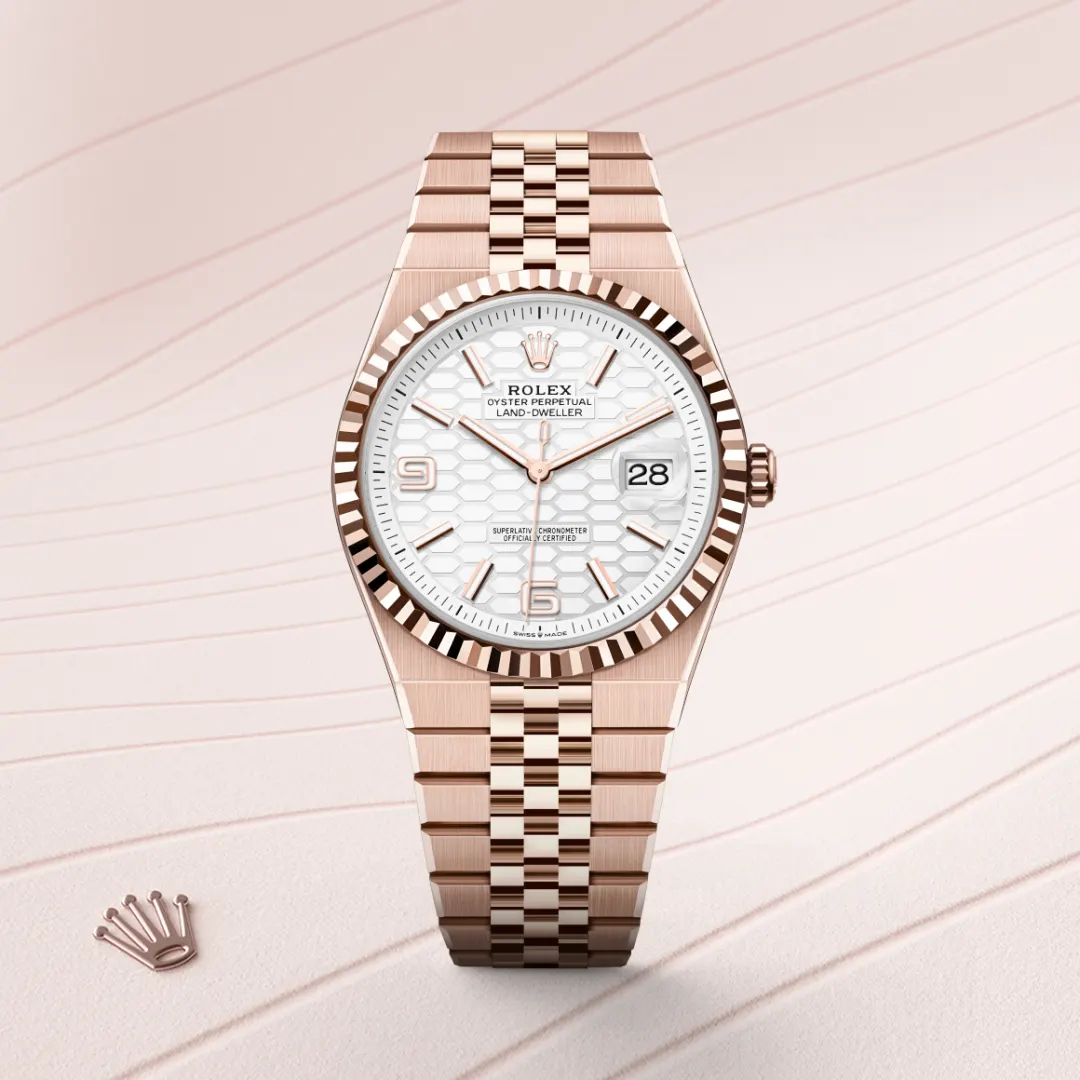 rolex Land-Dweller in 18 kt Everose gold, M127335-0001 - underwood jewelers
