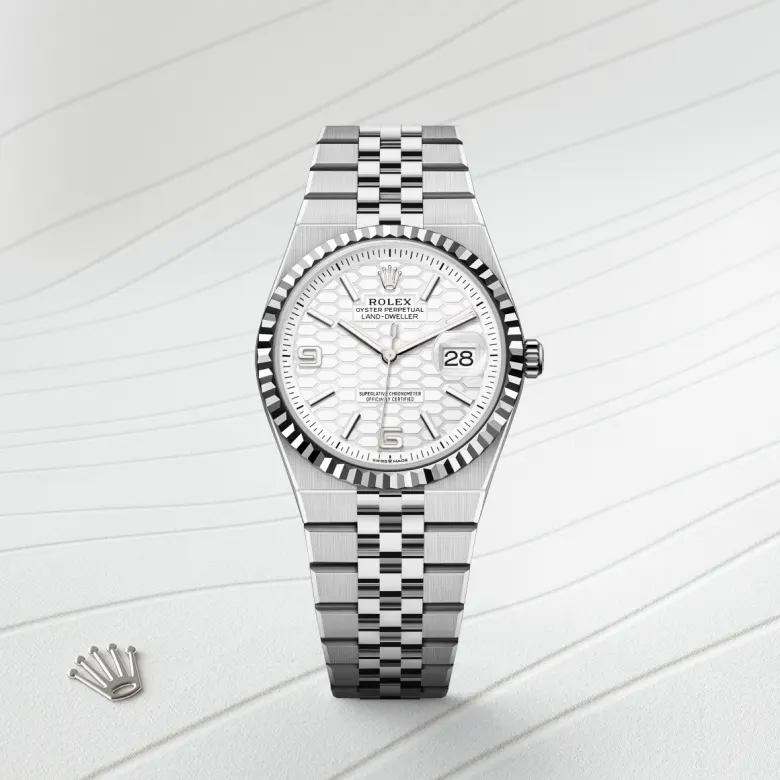 rolex Land-Dweller in White Rolesor - combination of Oystersteel and white gold, M127234-0001 - underwood jewelers