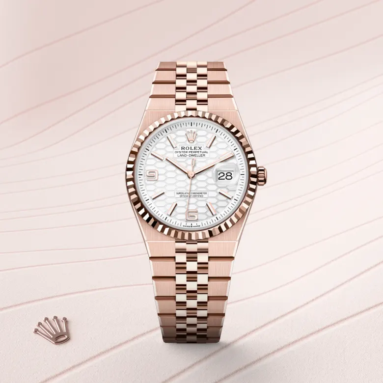 rolex Land-Dweller in 18 kt Everose gold, M127235-0001 - underwood jewelers