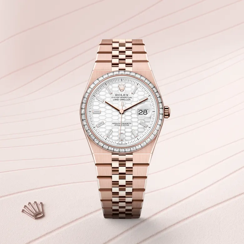 rolex Land-Dweller in 18 kt Everose gold, M127285TBR-0002 - underwood jewelers