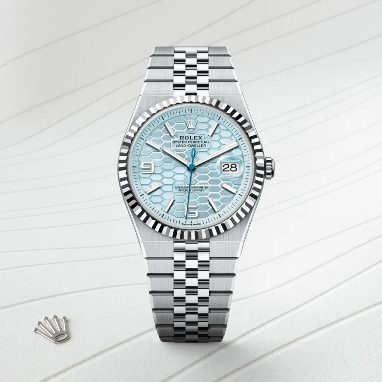 rolex Land-Dweller in Platinum, M127336-0001 - underwood jewelers
