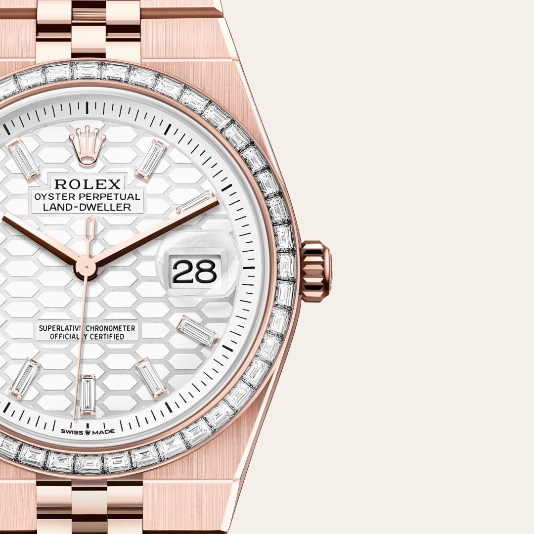 rolex Land-Dweller in 18 kt Everose gold, M127285TBR-0002 - underwood jewelers