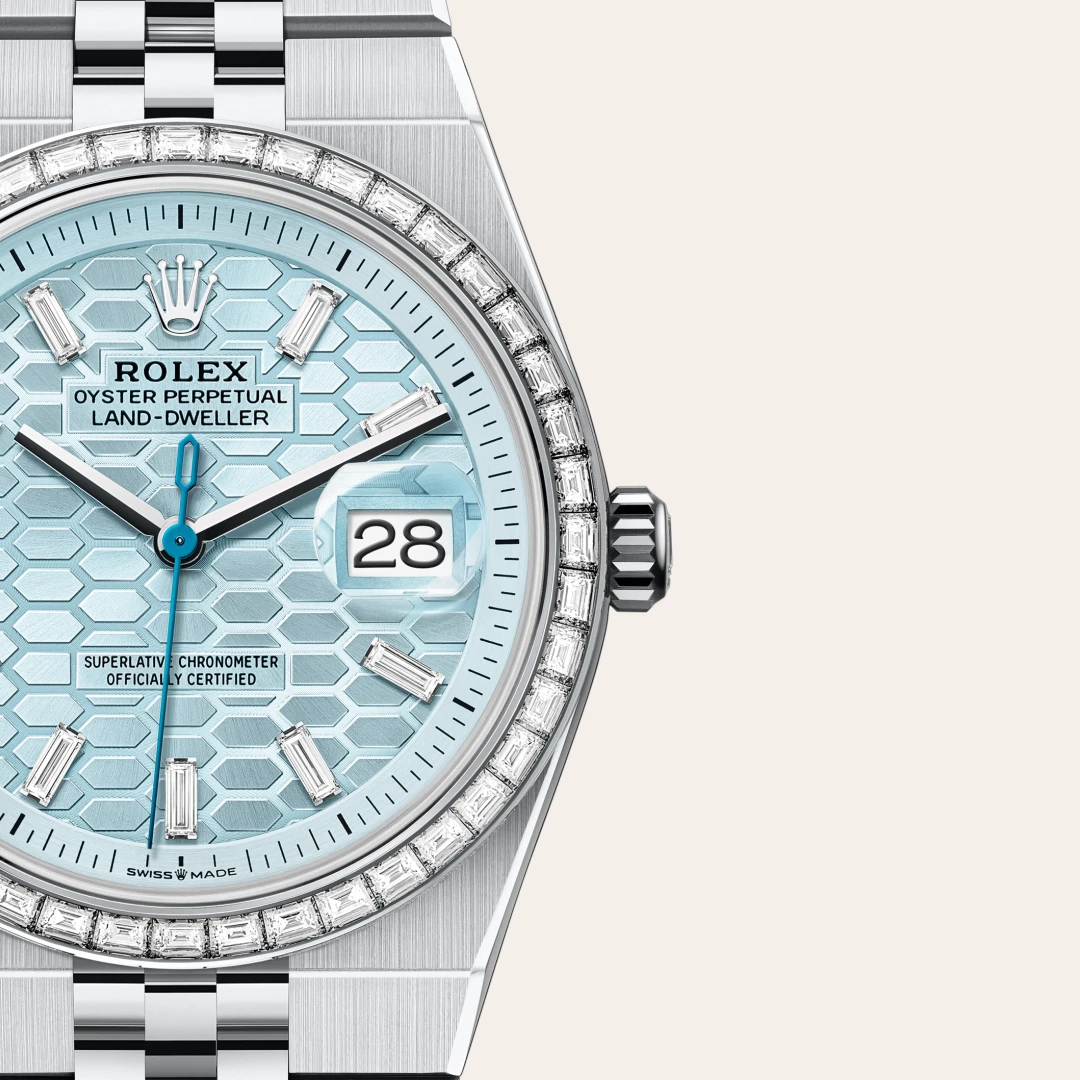 rolex Land-Dweller in Platinum, M127286TBR-0001 - underwood jewelers