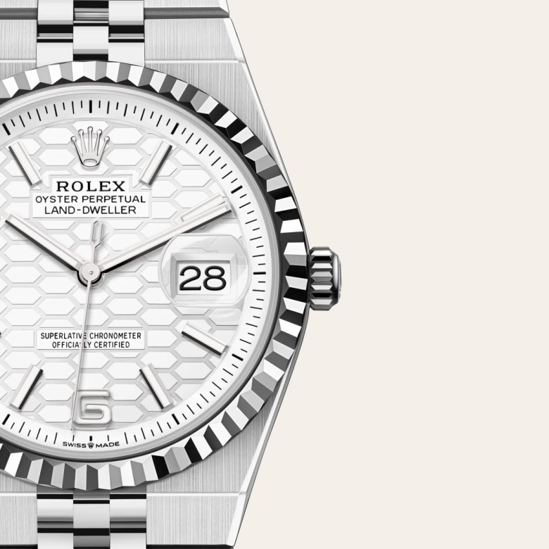 rolex Land-Dweller in White Rolesor - combination of Oystersteel and white gold, M127234-0001 - underwood jewelers