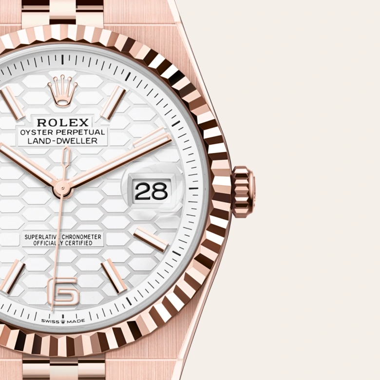 rolex Land-Dweller in 18 kt Everose gold, M127335-0001 - underwood jewelers